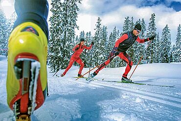Cross-country skiing in Flachau - cross-country skiing courses - ski school Flachau